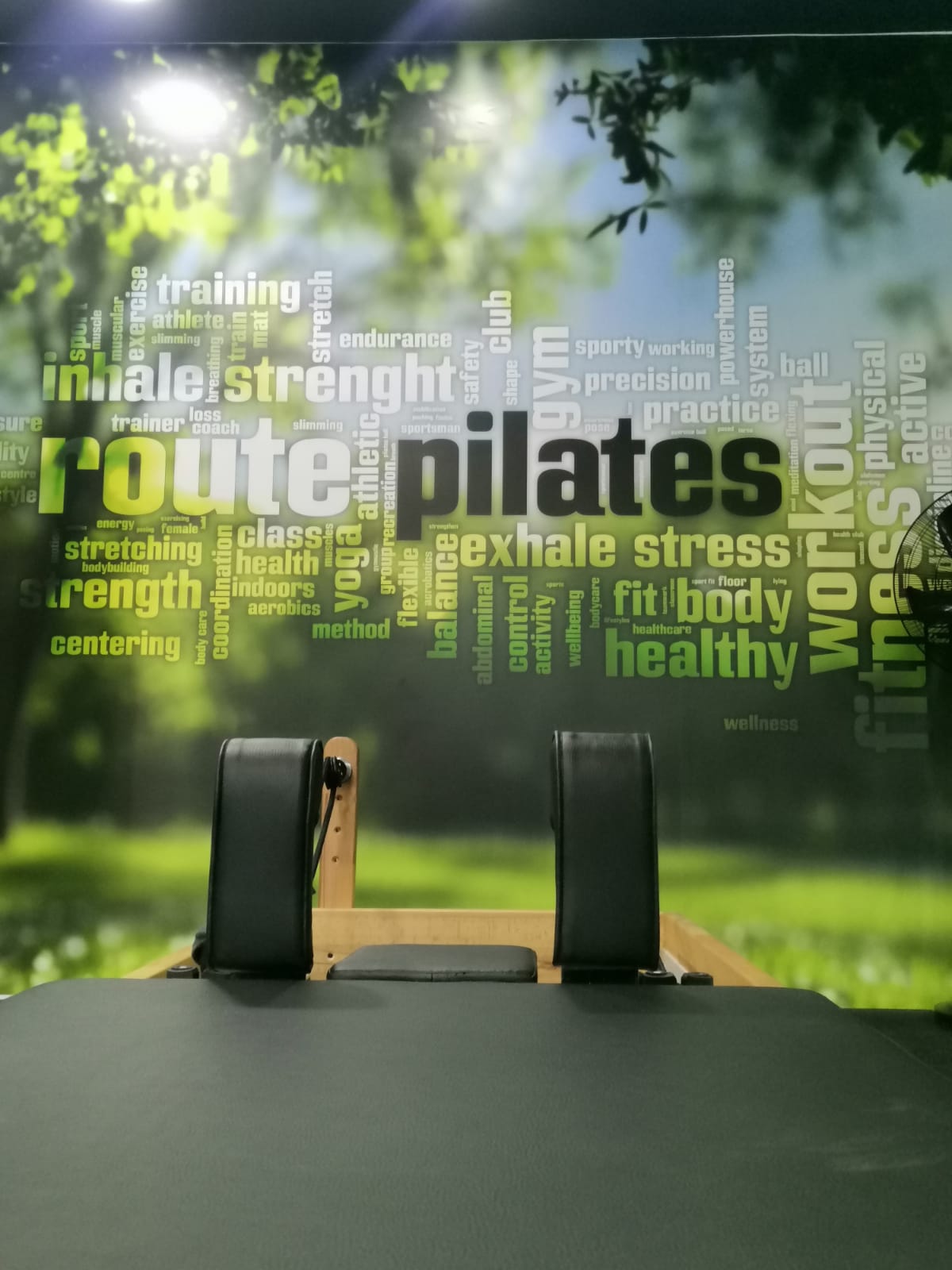 Route Gym salon